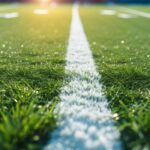 Sports Medicine Sideline + Ultrasound Workshop